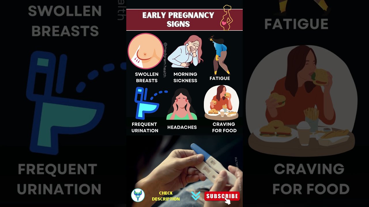 Pregnancy Symptoms Before Missed Period Early Signs You Need To Know 
