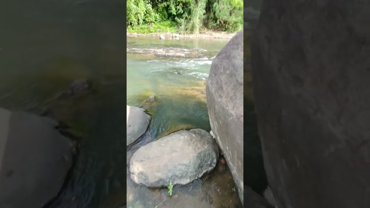 Sisi Cay Camp, the Best Riverside Camp in Sentul, Bogor 2025