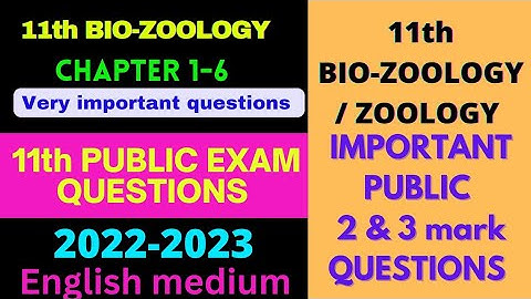 11th bio-zoology important 2 & 3 mark creative questions for public exam 2023 #11th #11thbiology