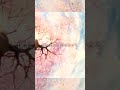 「卒業 / My Hair is Bad」COVER【美憂】