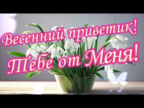 Приветик! Хорошего настроения тебе! Весенний приветик тебе!