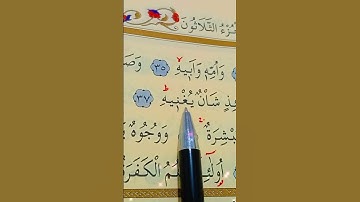 سورة عبس الأية 34 إلى 42 بصوت سعد الغامدي