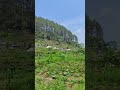 kampung terpencil di lereng prau - Ngelak mulyadadi