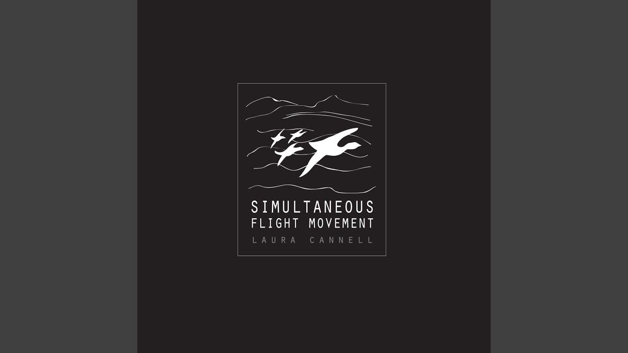 Watch Simultaneous Flight Movement on YouTube Watch Simultaneous Flight Movement on YouTube