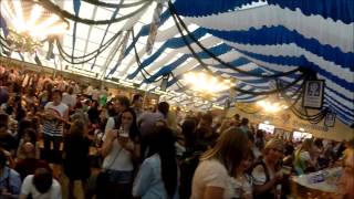 Springfest 2014