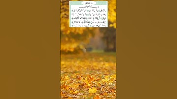 #سورة_الضحى #ياسر_الدوسري #alquran #قرآن_كريم #اكسبلور #راحة_نفسية