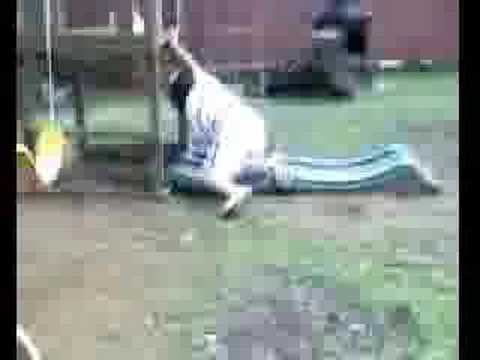 FAT KID BREAKS SLIDE