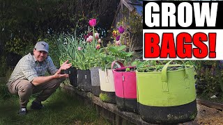 6 Benefits Of Fabric Grow Bags