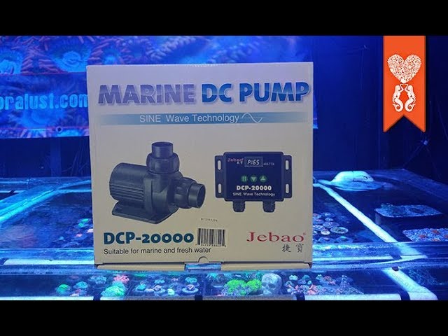 Jebao DCP return pump review.   YouTube