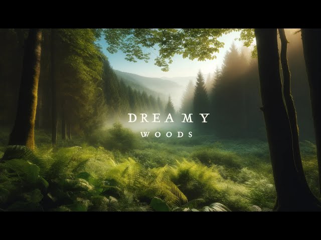 Dreamy Woods | piano ambience to calm your mind and improve productivity class=