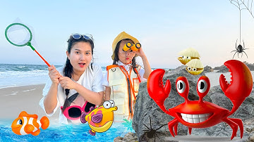 Changcady và nhà thám hiểm Cam Cam đi bắt con cua, con cá, gặp nhện khổng lồ ngoài biển