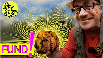 Welches Tier frisst Kartoffeln in der Erde?