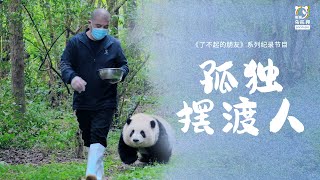 【了不起的朋友 第3话】被叫做“爷爷”的熊猫饲养员是另一种隔辈亲