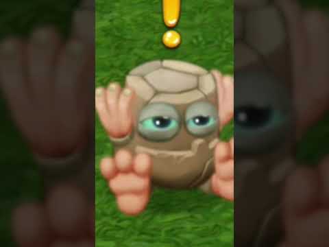 эволюция камушка мои