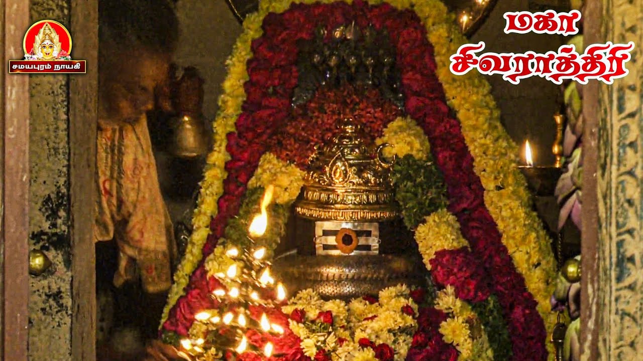 மகா சிவராத்திரி 2026 முருகூர் அருள்மிகு  சிற்றம்பலநாதர் ஆலயம்