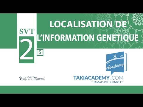 2ème année_ SVT _ Localisation de l&rsquo;information génétique