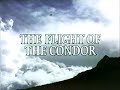 The Flight of the Condor (PT1) (1983)