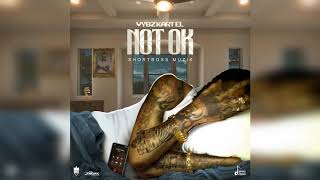 Vybz Kartel - Not Ok (Official Audio)