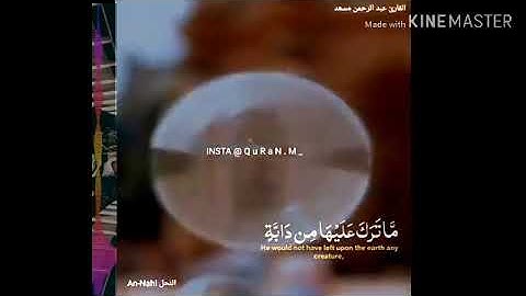 حالات وتس اب #قرآن كريم صوت يبكي الحجر