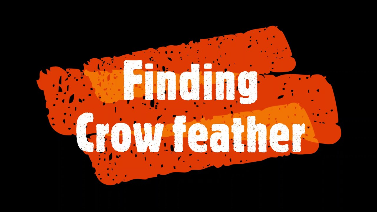 Grounded - Find Crow Feather