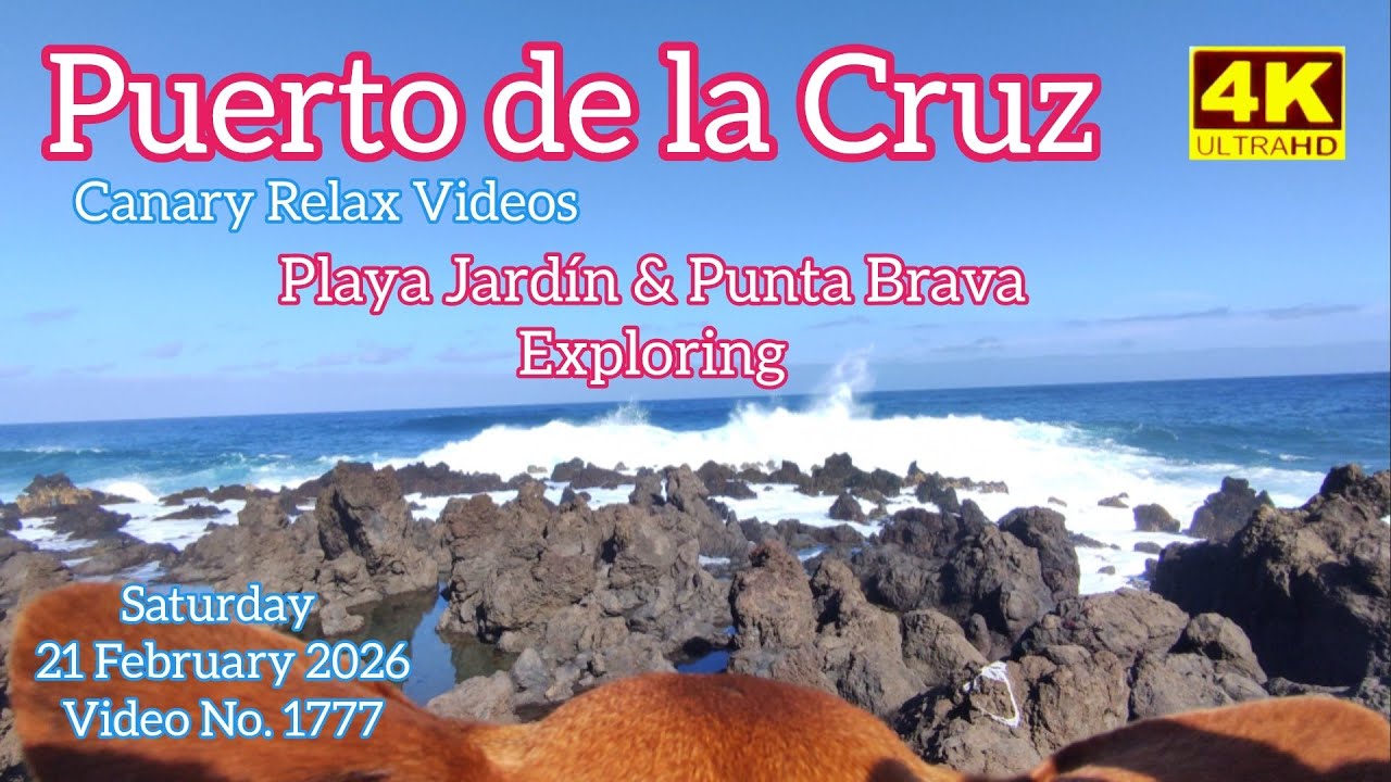 Тенерифе 🏝️ Пуэрто-де-ла-Крус Плайя-Хардин и Пунта-Брава.