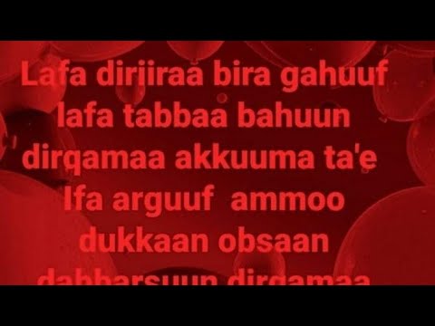 Fageenyaa Diiriiraa Biraa Gahuufii Lafaa Tabbaa Bahuufii Diriiqamaa Tokumaa Ta Ee