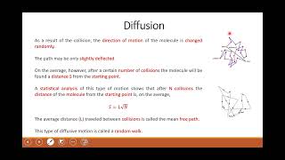 Diffusion and Thermodynamics 2023