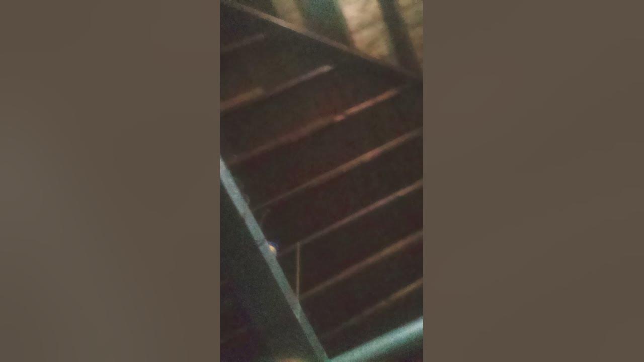 Wheres my phone youtube