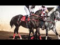 Duelo De Grandes | El PiterBill Vs El Merino, Carril 2000 Durango Mex.