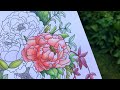 Coloring Leaves and Succulents with Inktense Pencils || Colorful Flowers Volume II from Colorit