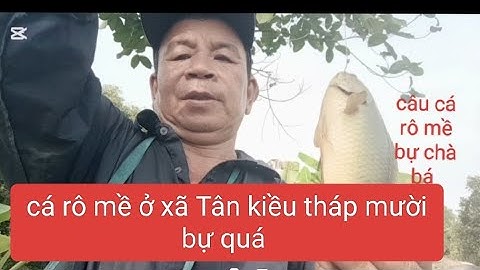 câu cá rô mề ở xã Tân kiều huyện tháp Mười đồng tháp bự ghê