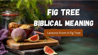 Figs in the Bible: 9 Meanings Explained | From Shame (Genesis) to Blessings (Revelation)!