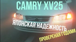 Одна из надежных авто 2000-х. Обзор Toyota Camry 25. Camry 20