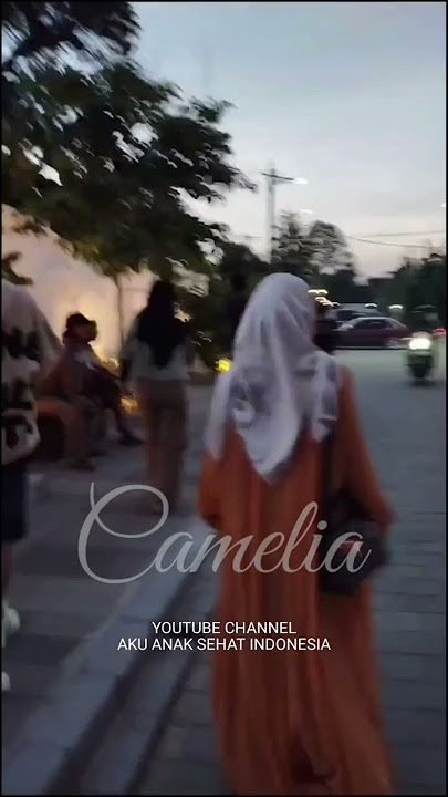 CAMELIA RHOMA IRAMA STORY WA