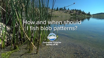 Fly Fishing FAQ: How and when should I fish blob patterns? | GoFishBC