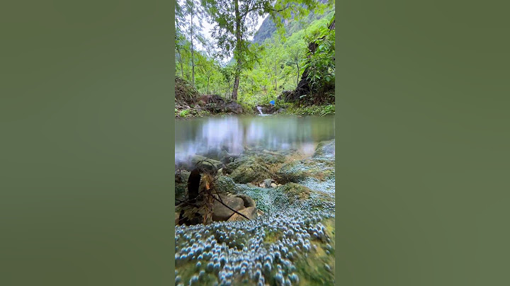 Clear Water in the Village Drain — Captured on iPhone #shorts