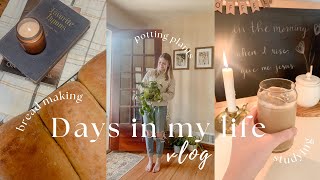 DAYS IN MY LIFE VLOG // bread making, studying, cleaning & more by Carly Tolkamp 237 views 1 month ago 23 minutes