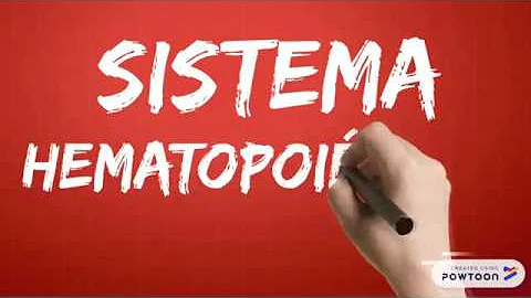 Como ocorre a formação do Celoma intra-embrionário?