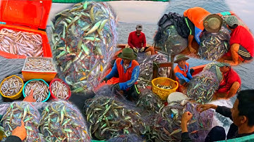 GIÁC LƯỚI TRÚNG NHẤT TRONG NĂM | GIÁC LƯỚI MƯỜI MẤY TRIỆU | LƯỚI CÁ ĐỤC 