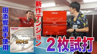 【打球感MAX新作ラバー】GCさん激推しのTIBHAR新製品 QUANTUM X PROと田添響選手使用 MX-Sの２枚を試打してみました