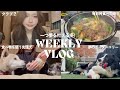 【ついに！】おうちにボーダコリーが来る！１週間のVlog