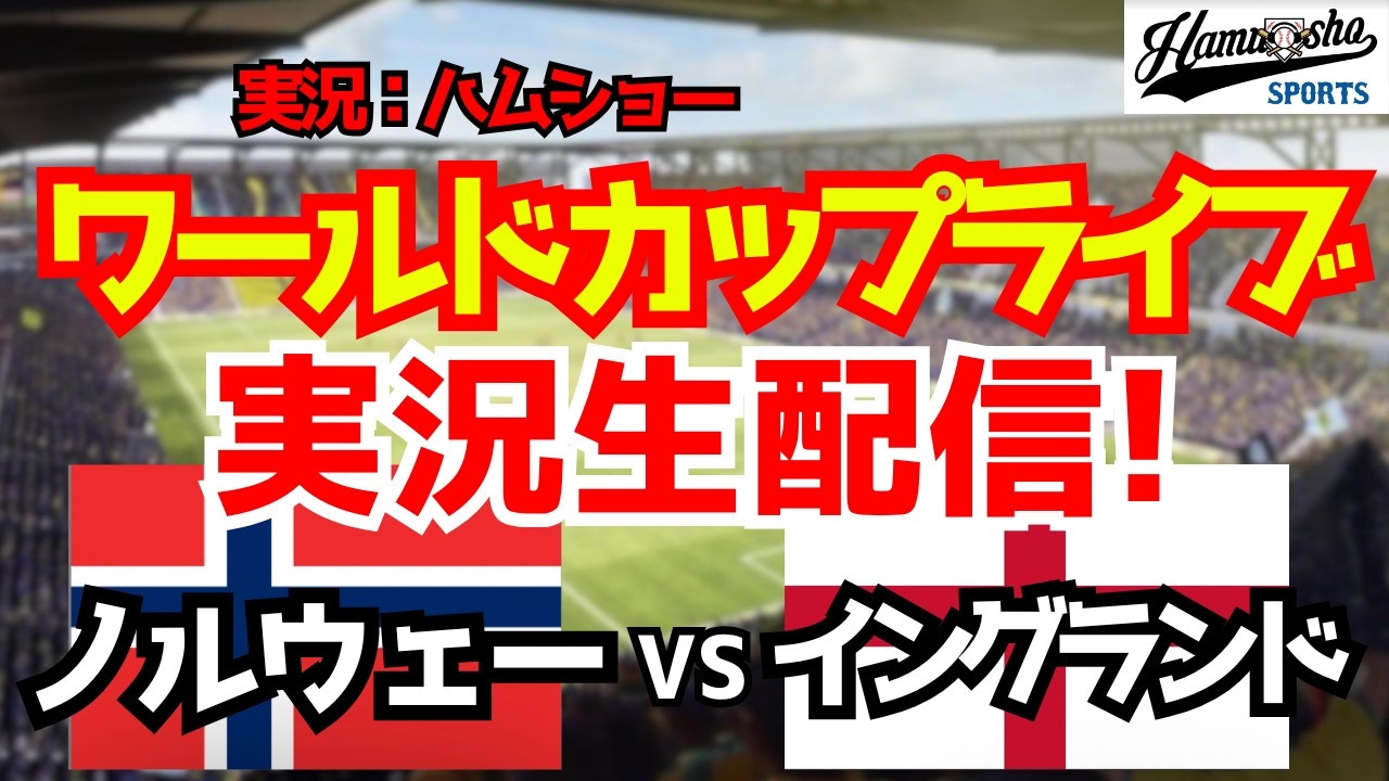ワールドカップ ノルウェー vs イングランド 会場 限定 マフラー ワールドカップライブ】ノルウェー対イングランド 準々決勝 【サッカー