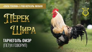 Π²ΠΈΠ΄Π΅ΠΎ: π» ΠΠ΅ΡΠ΅ΠΊ Π¨ΠΈΡΠ°. ΠΠΠ’Π£Π₯ Π³ΠΎΠ²ΠΎΡΠΈΡ. Π£ΡΠΎΠΊ 32. Π Π°Π² ΠΡΡΠ°ΡΠ»Ρ Π―ΠΊΠΎΠ±ΠΎΠ² ΠΊΠ°ΡΡΠΈΠ½ΠΊΠ°: π» ΠΠ΅ΡΠ΅ΠΊ Π¨ΠΈΡΠ°. ΠΠΠ’Π£Π₯ Π³ΠΎΠ²ΠΎΡΠΈΡ. Π£ΡΠΎΠΊ 32. Π Π°Π² ΠΡΡΠ°ΡΠ»Ρ Π―ΠΊΠΎΠ±ΠΎΠ²