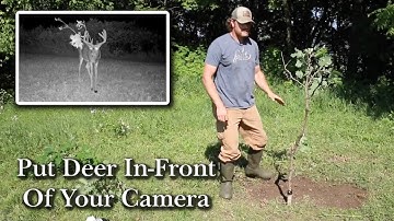 Getting Deer In-front of Your Camera: HODAG Licking Stick Setup