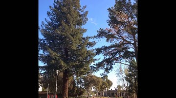 CSUEB Arts + Education Building Beauty