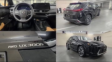 2025 Lexus UX300h Button Tutorial ( Time Stamps in Video Description )