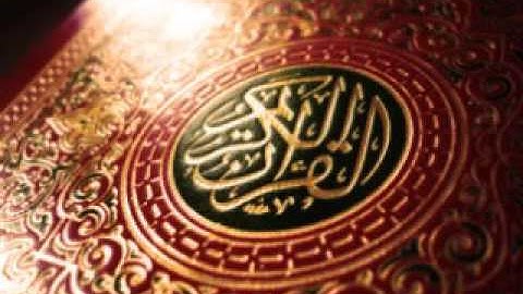 الشيخ علي جابر  سورة الفتح