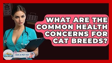 What Are The Common Health Concerns For Cat Breeds? - Ask A Pet Vet