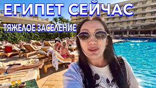 Египет 2024. ЛУЧШАЯ четверка ЕГИПТА‼️Sindbad Club 4*. СВЕЖИЙ ОБЗОР.  Хургада сейчас