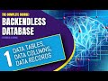 Data tables columns and records  backendless database training course pt 1